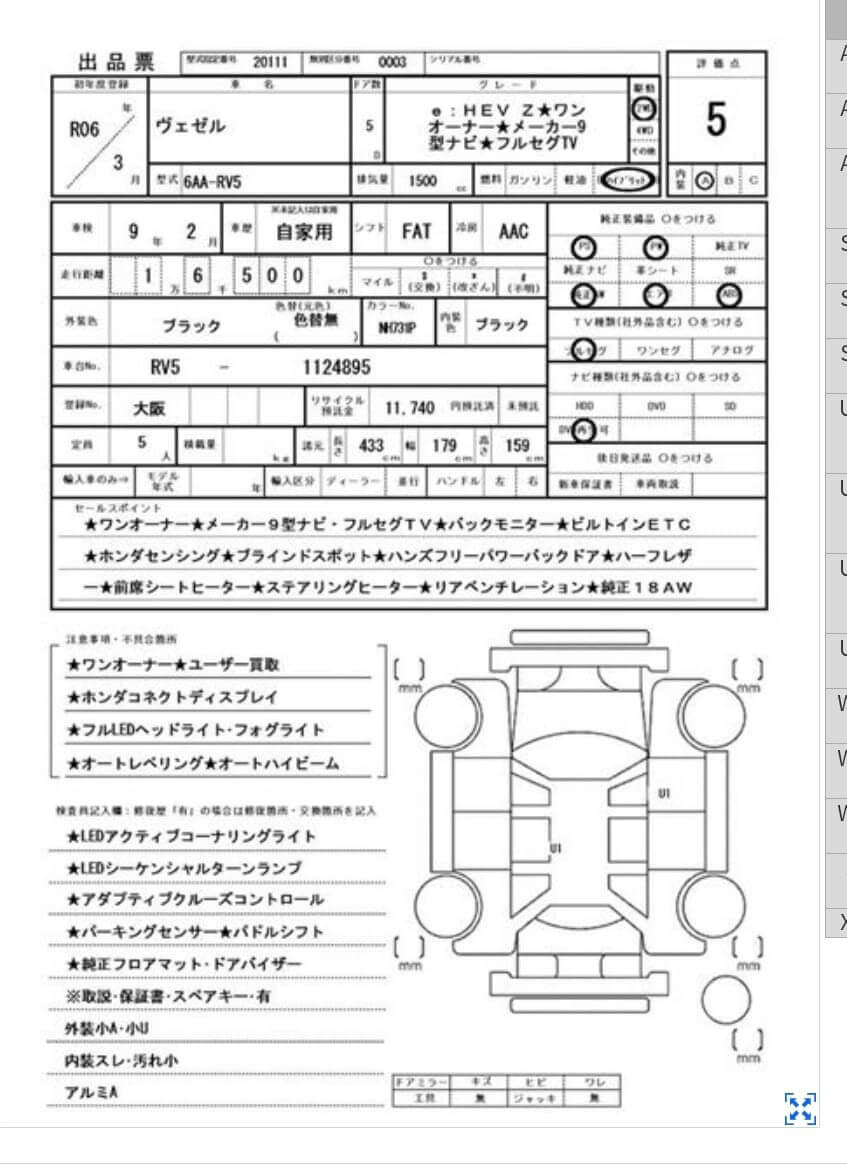 Option Certificate